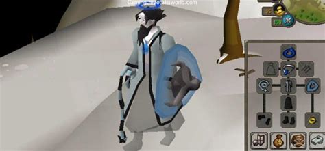 osrs best shields|18 Best Shields In OSRS .
